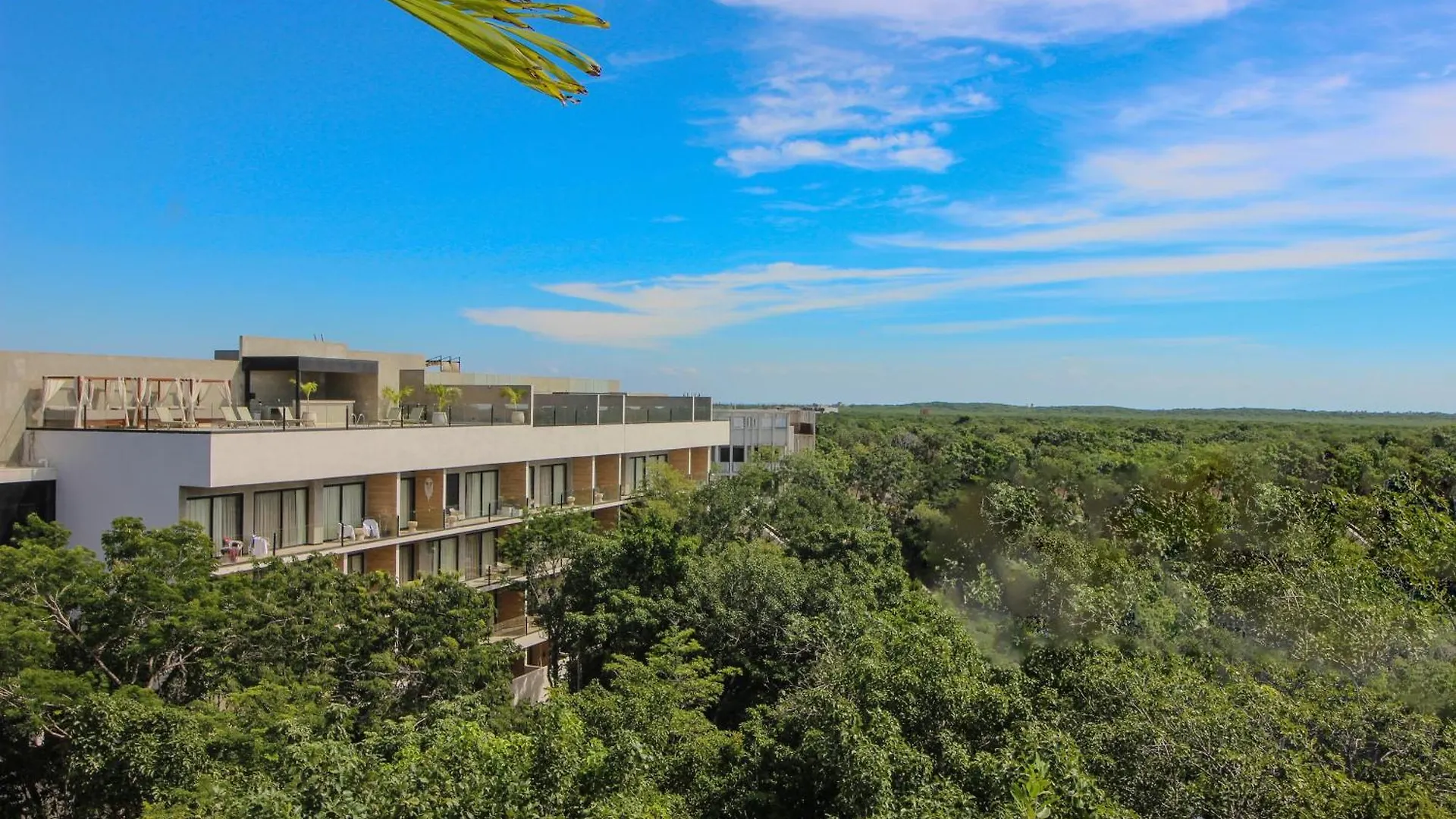 아파트 Luxury Studio With Balcony And Rooftop Pool In Tulum Best Location 멕시코