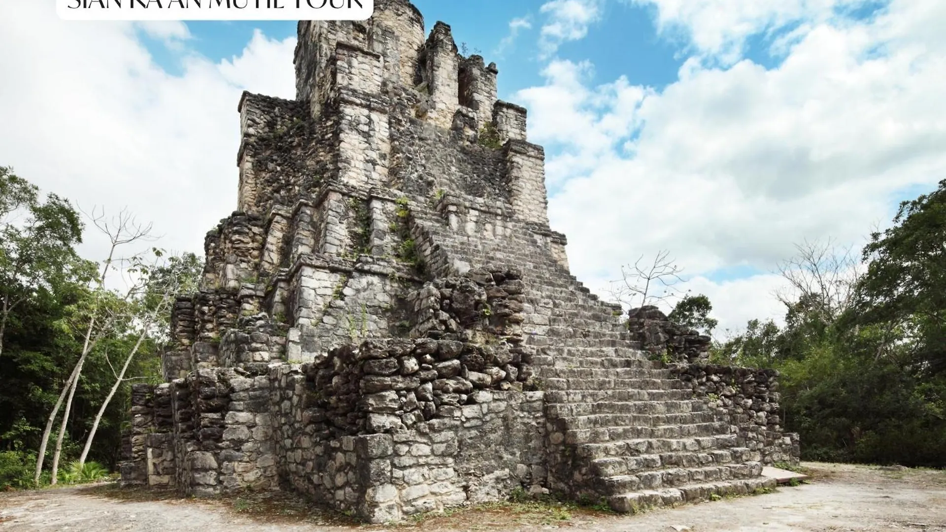 Luxury Studio With Balcony And Rooftop Pool In Tulum Best Location 아파트