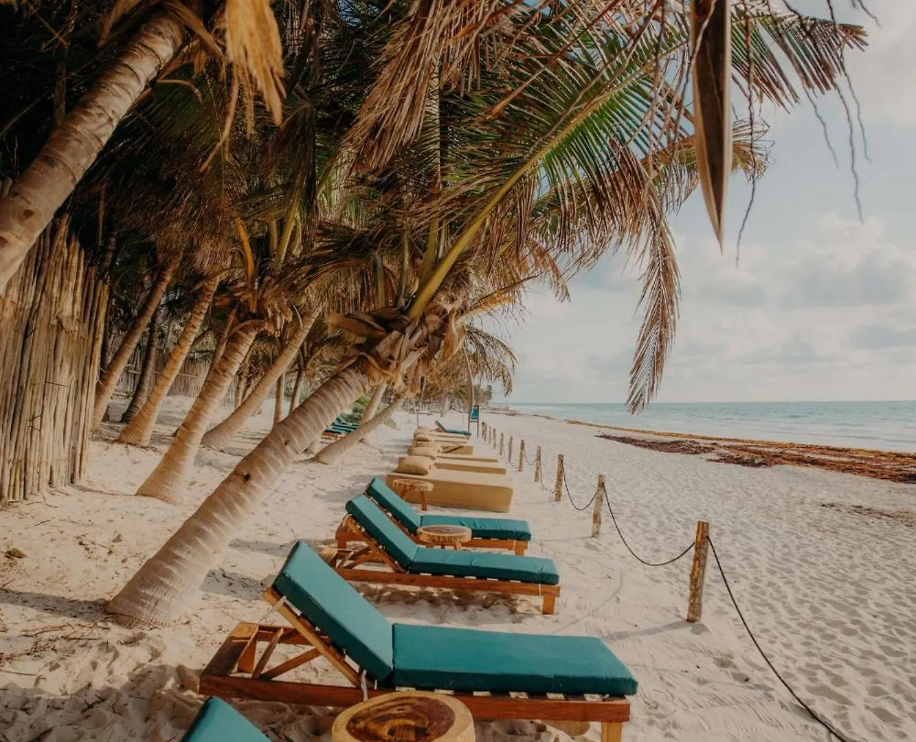 아파트 Luxury Studio With Balcony And Rooftop Pool In Tulum Best Location