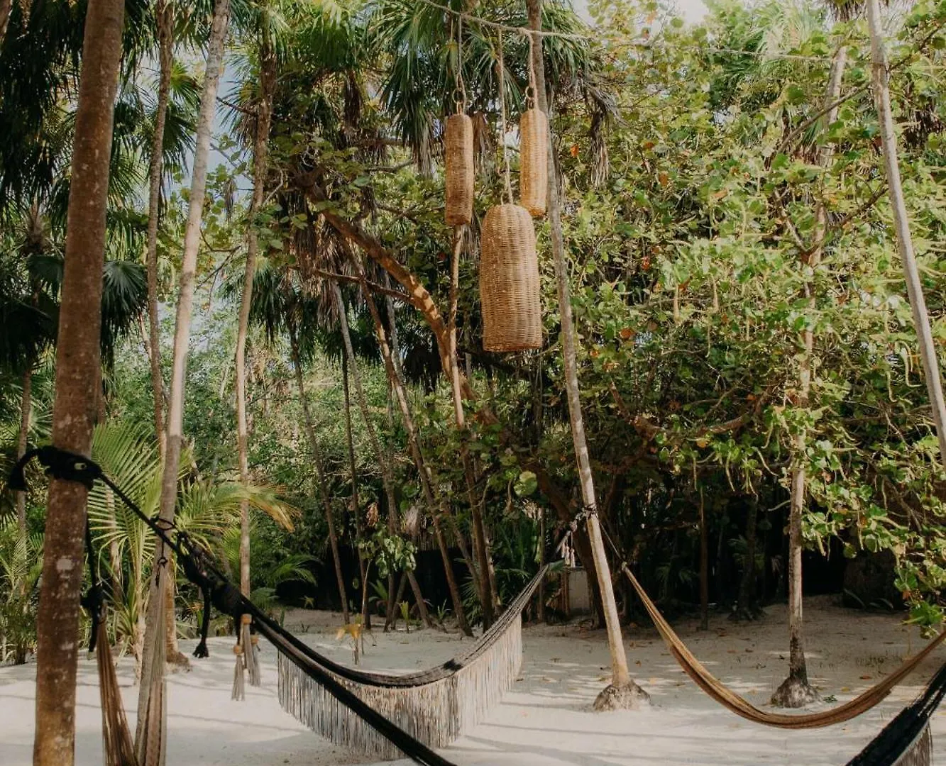 Luxury Studio With Balcony And Rooftop Pool In Tulum Best Location 멕시코