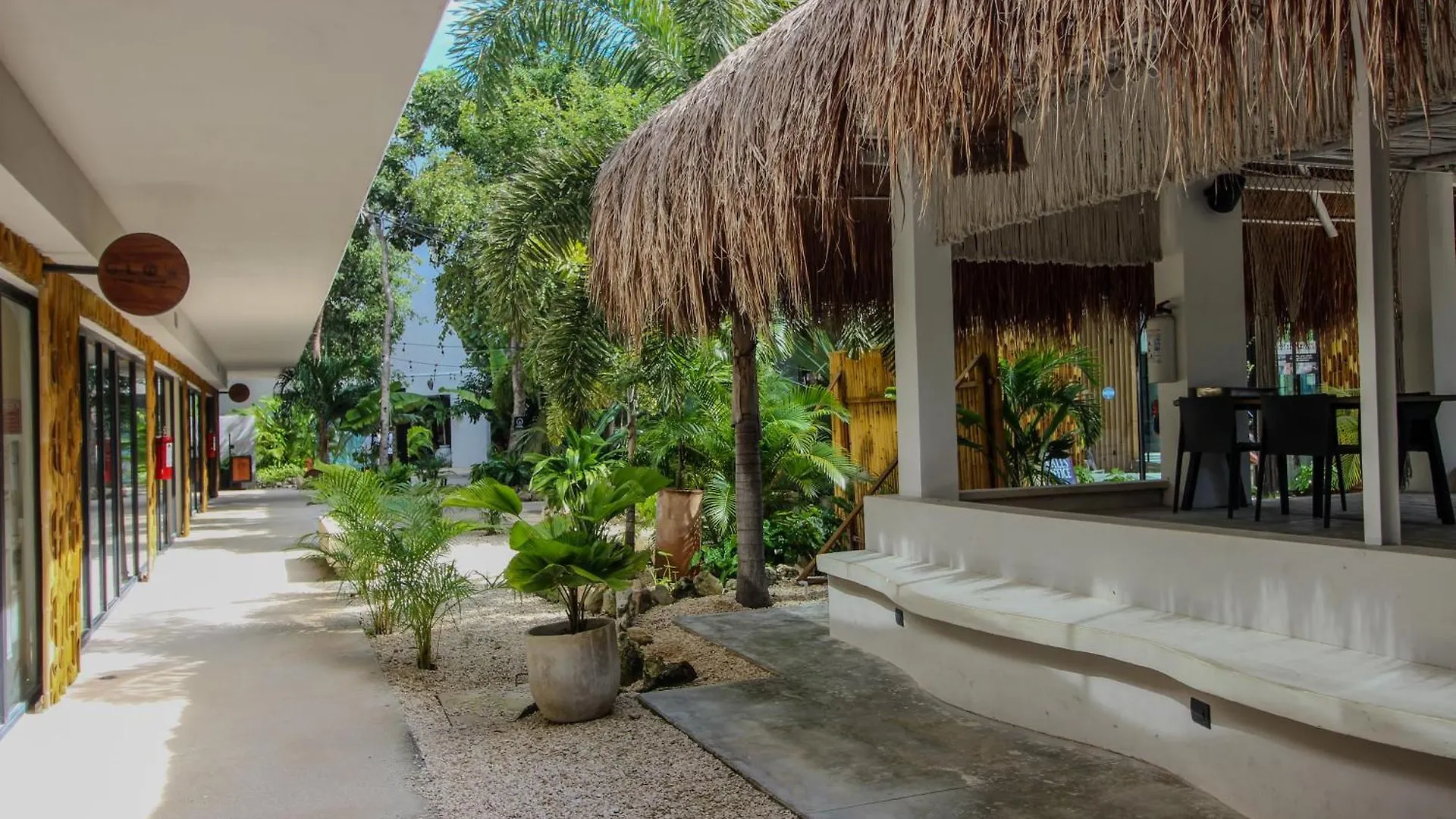 Luxury Studio With Balcony And Rooftop Pool In Tulum Best Location 아파트