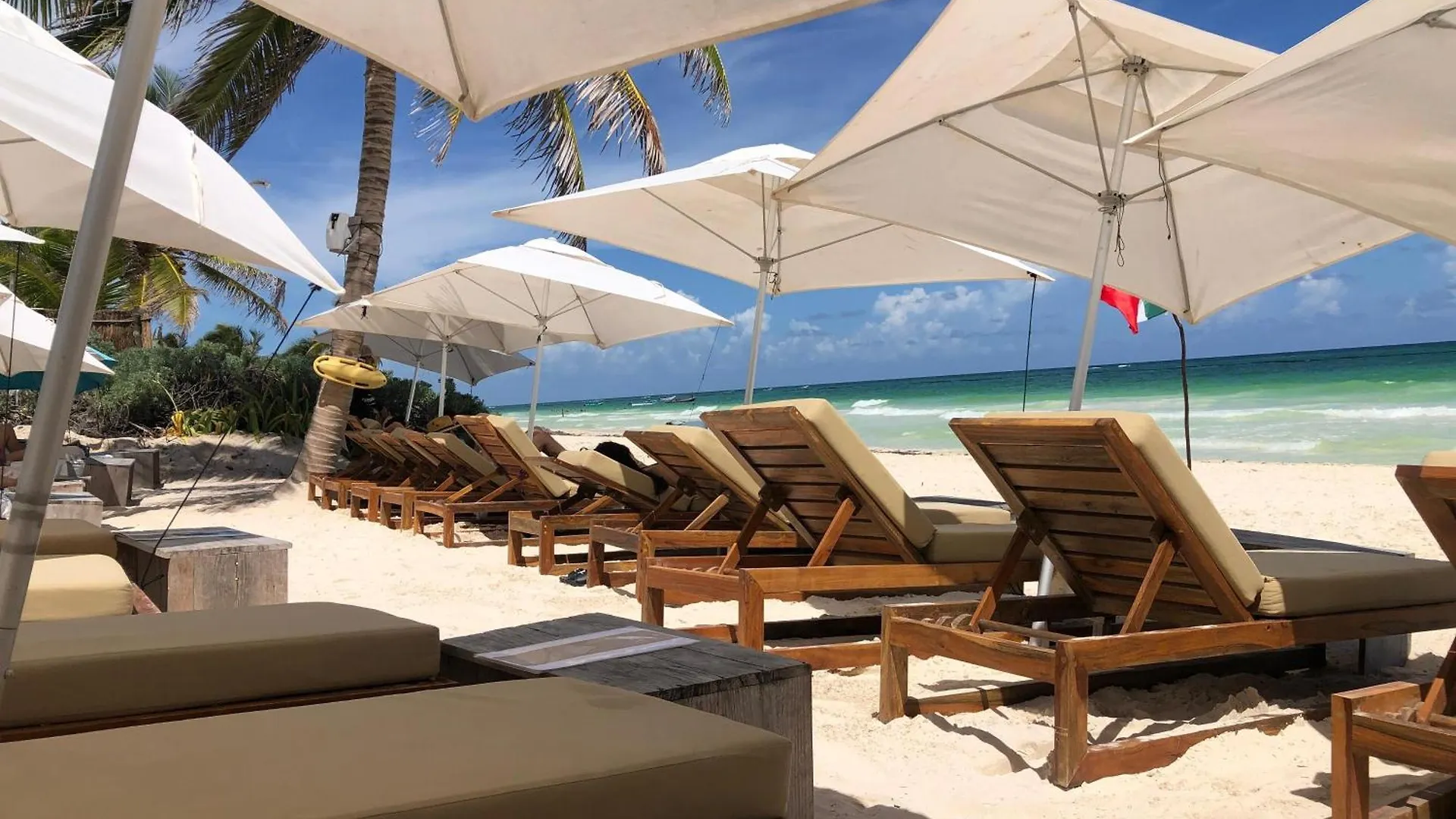 Luxury Studio With Balcony And Rooftop Pool In Tulum Best Location 아파트