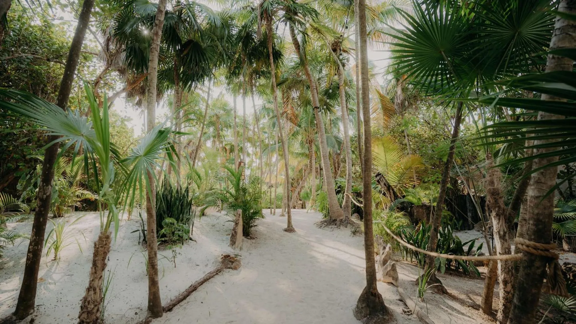 Luxury Studio With Balcony And Rooftop Pool In Tulum Best Location 0*,  México
