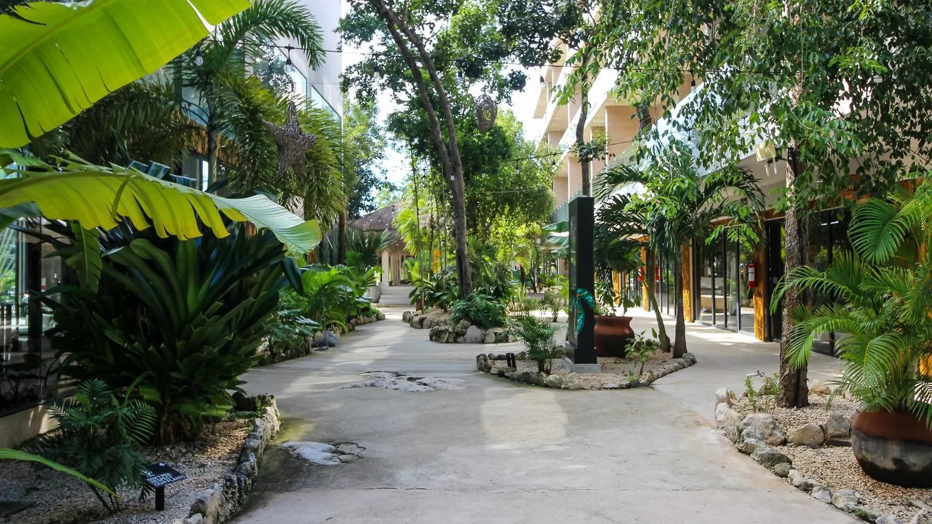 Apartamento Luxury Studio With Balcony And Rooftop Pool In Tulum Best Location